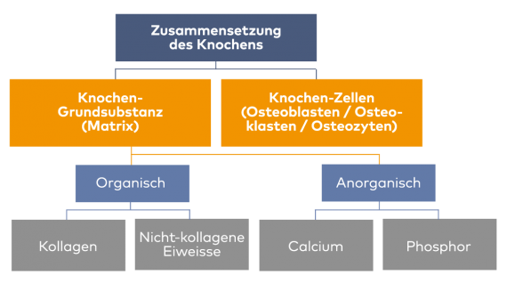 Tabellen-Bild